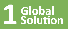 1 global solution